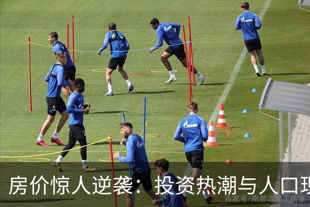 房价惊人逆袭：投资热潮与人口现状的纠葛